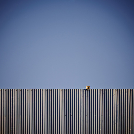 all_or_nothing_Stritzke 550